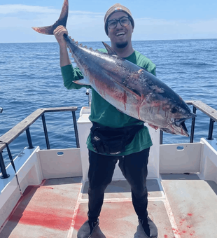 Yellowfin Tuna Wreck fishing